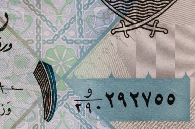 Banknote Üzerine Bir Riyal Yazıtı Macro Çekimi