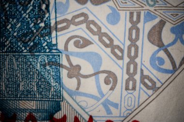 Banknote Üzerine Bir Riyal Yazıtı Macro Çekimi