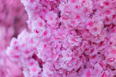 Soyut pembe çiçekler arka plan