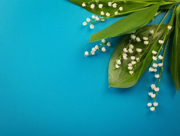 Beautiful white lilies of the valley on a turquoise background. Minimalist background with Lily of the valley colors.