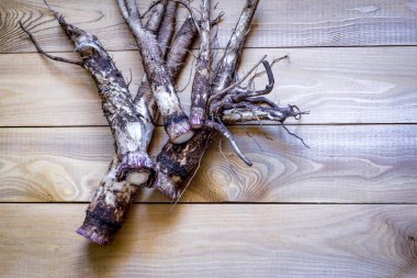 Ahşap bir masa üzerinde tıbbi hammadde burdock kökü.