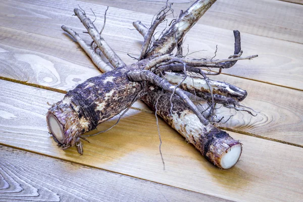 Medicinal Raw Material Burdock Root Wooden Table — Stock Photo, Image