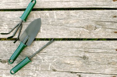 Ahşap arka planda bahçe aletleri. Bahçe malzemelerinin kavramsal görüntüsü.