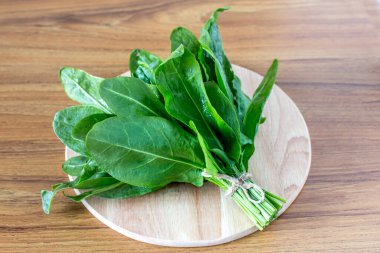 Tahtada taze kuş yaprakları var..