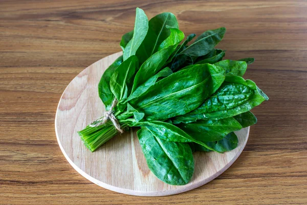 Bunch Fresh Sorrel Leaves Wooden Board — Stock Photo, Image