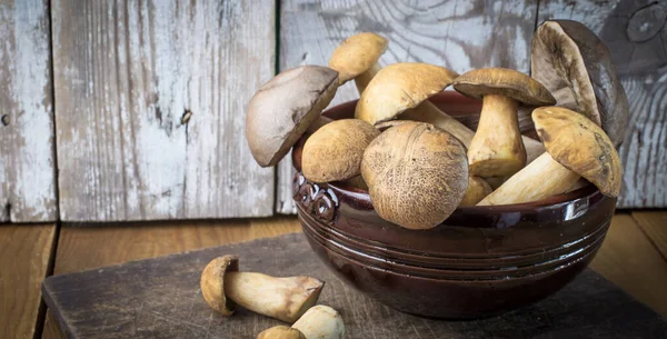 Skogssvamp Mörk Skål Träbakgrund Uppfattat Utrymme Leccinum Scabrum Xerokom — Stockfoto