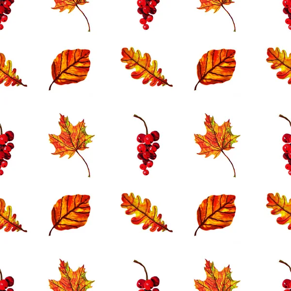 Sonbahar yaprakları ve meyveleri ile güzel sıcak seamless modeli