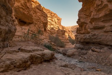 Çölde kanyonda yürüyüş yapmak. 