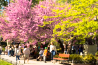 Bir bahar sokak çiçekli ağaçlar ile bulanık kalabalığın.