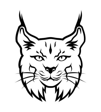 Bobcat kafa vektör çizim.