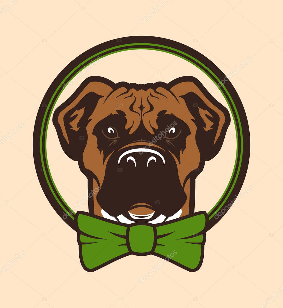 dog with bow on head