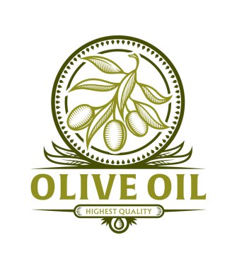 Stilize zeytin dalı kutsal kişilerin resmi içinde çerçeve için zeytin yağı etiket yaprakları ile vektör amblemi ile değiştirilebilir metin bölümü