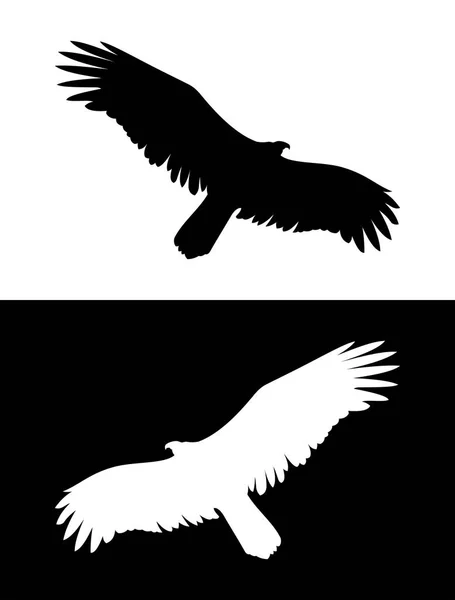 Silhouette d'aigle volant ou d'oiseau de proie — Image vectorielle