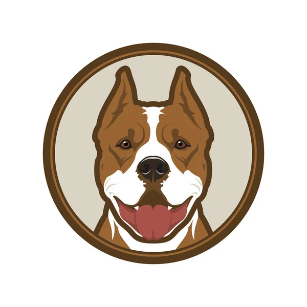 Pitbull boxer dog head mascot in circle — Stock Vector