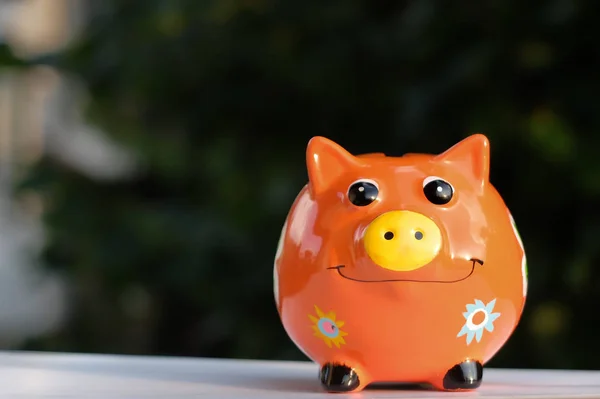 Piggy bank buiten, bomen in de achtergrond — Stockfoto