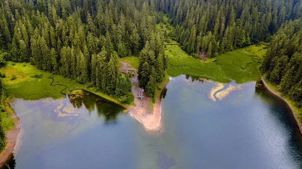Sjön Synevir Karpaterna Berg Stockfoto