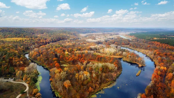 Herbst Natur Wald Und Fluss Stockbild