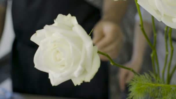 認識できない男の花屋のドリー ショットは、フラワー ショップで白バラをアレンジします。 — ストック動画