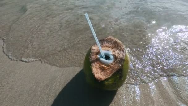 바다 해안에 짚 부동 녹색 코코넛의 근접 촬영 — 비디오