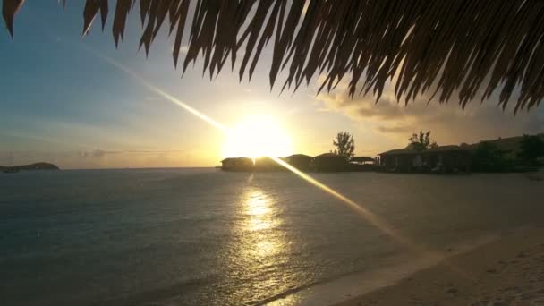 카리브해 세인트 루시아 빈 해변에서 열 대 비 — 비디오