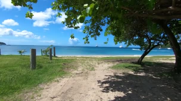 セントルシアはカリブ海の熱帯のビーチを空します。 — ストック動画