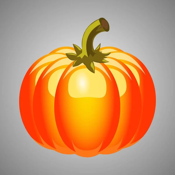 Herbst-Halloween-Kürbis, Gemüsegrafik oder Druck, isoliert auf grauem Hintergrund. — Stockvektor