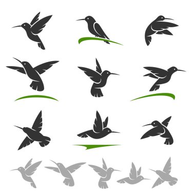 Colibri ayarlayın. Etiketleri ve öğeleri kümesi, boyutunu ve rengini düzenleyin. Vektör. 