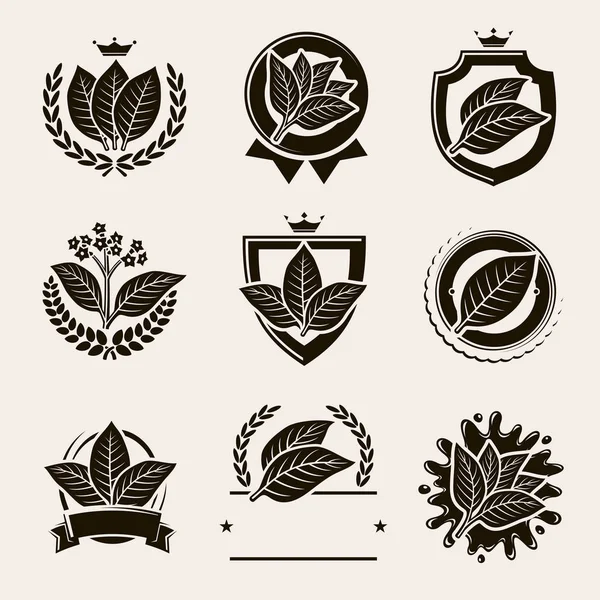 Tobacco Leaf Label Icons Set Vector — Stock Vector