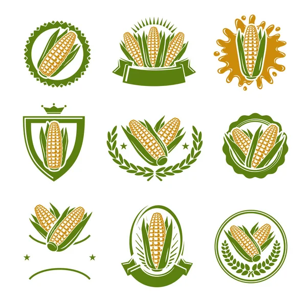 Corn Label Element Set Collection Icon Corn Vector — Stock Vector