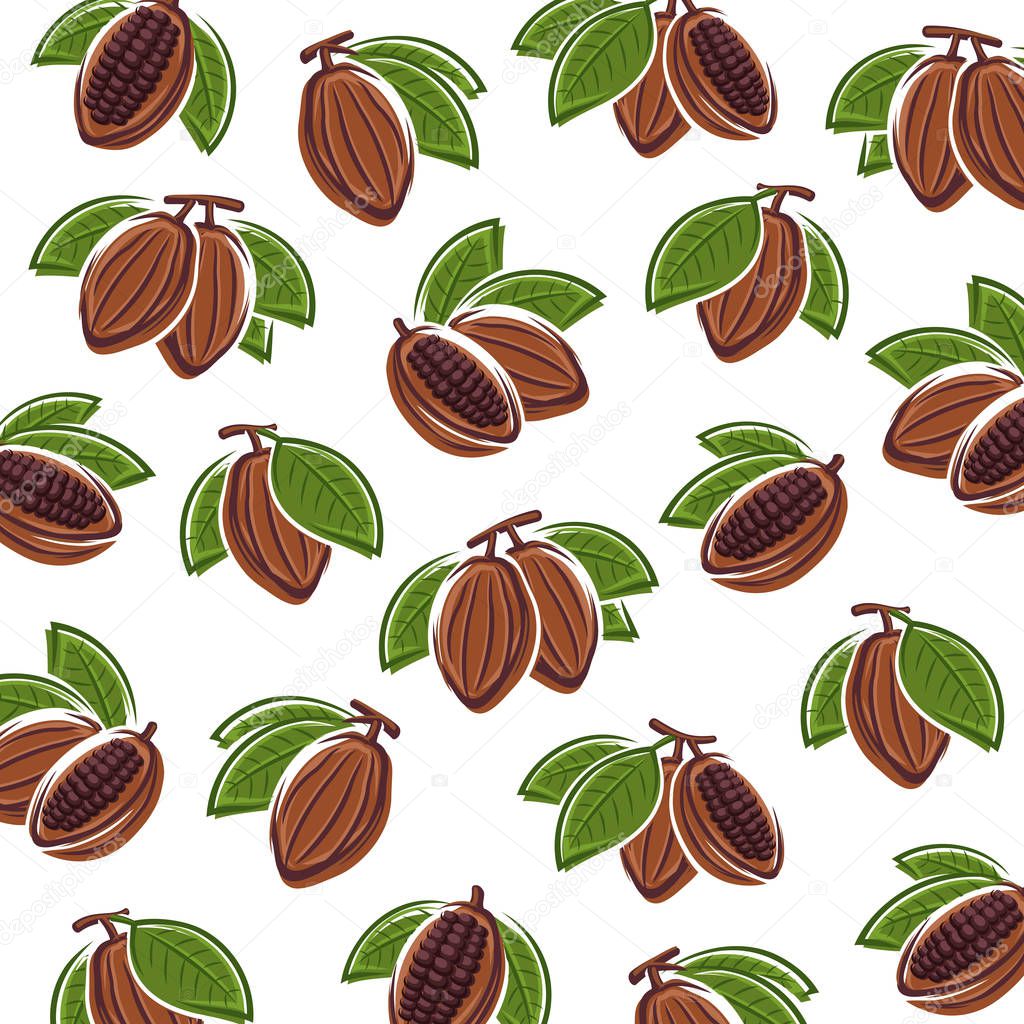 Cacao beans background. Vector