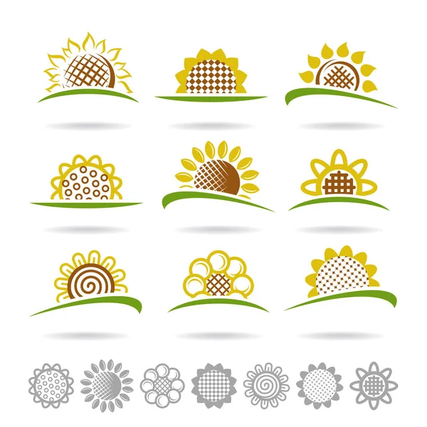 Sonnenblumenuntergang Sammlung Ikone Sonnenblume Vektor — Stockvektor
