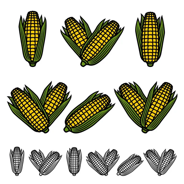 Corn Set Collection Icon Corn Vector — Stock Vector