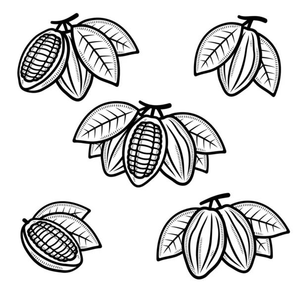 Cacao Beans Set Collection Cacao Beans Icons Vector — Stock Vector