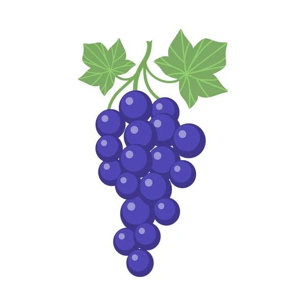 Las Uvas Clipart Dibujos Animados Con Vid Hojas Púrpura Vid — Archivo Imágenes Vectoriales