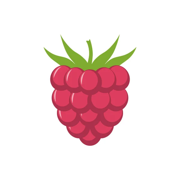 Raspberry Leaf Vector Icon Raspberry Icon Clipart Raspberry Cartoon — Stock Vector