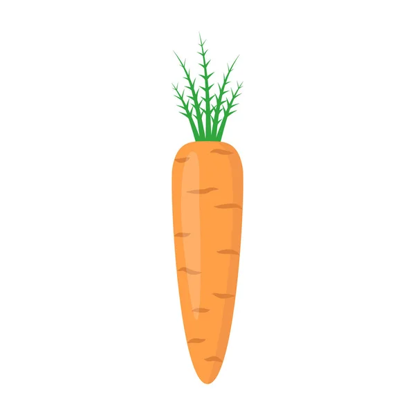 胡萝卜与叶向量图标 胡萝卜图标剪贴画 胡萝卜卡通 — 图库矢量图片