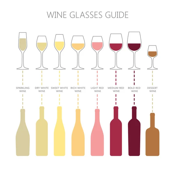 Copos Vinho Garrafas Guiam Infográfico Vidro Vinho Vetorial Colorido Tipos — Vetor de Stock