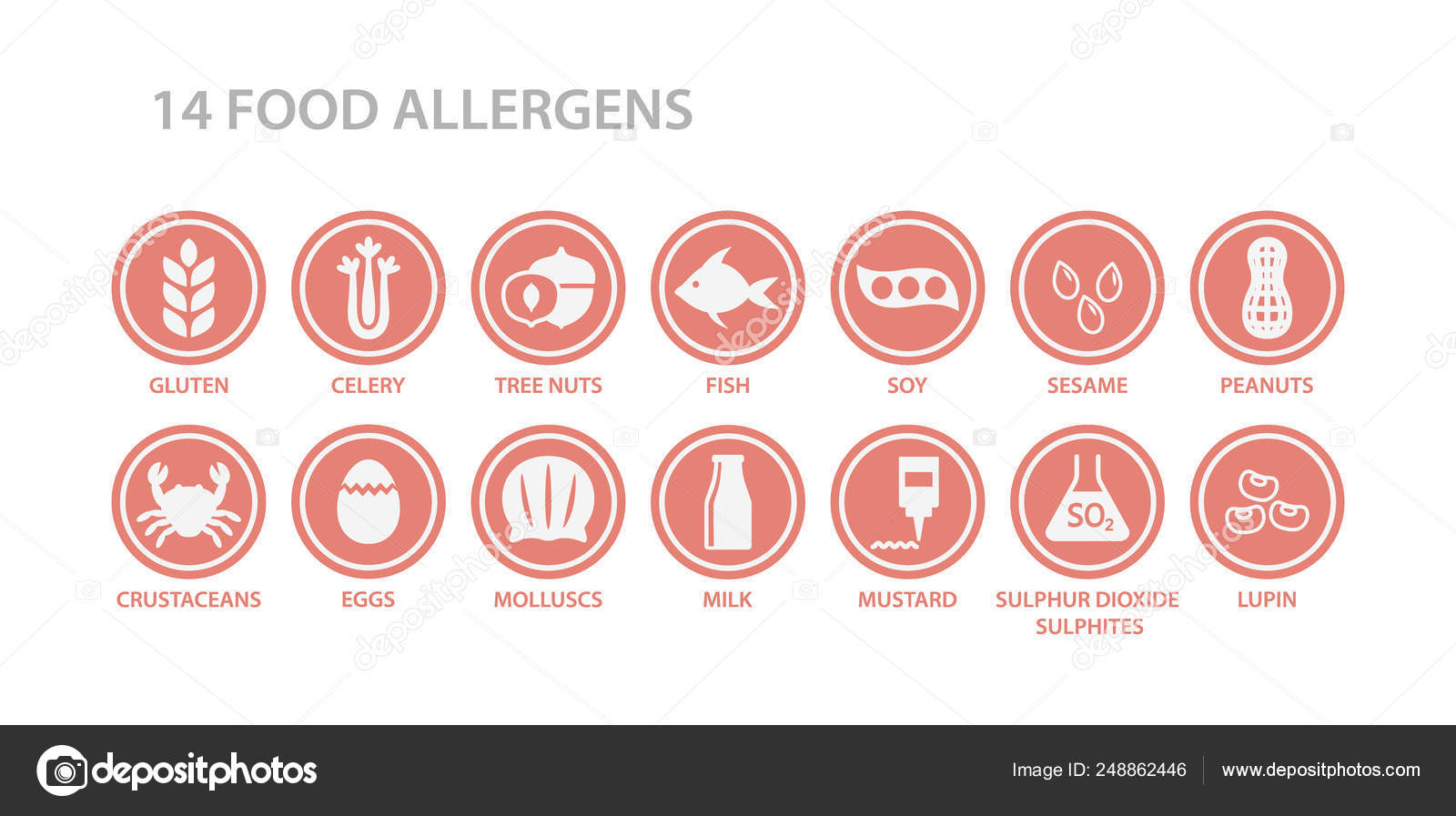 Aliments Allergènes Menu Liste Cercle Icône Ensemble Allergène