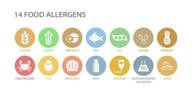 14 gıda alerjenleri menü listesi daire Icon set. Gıda alerjen beyaz daireler simgeler. Gluten, yumurta, süt, fındık Anti vektör simgeler.