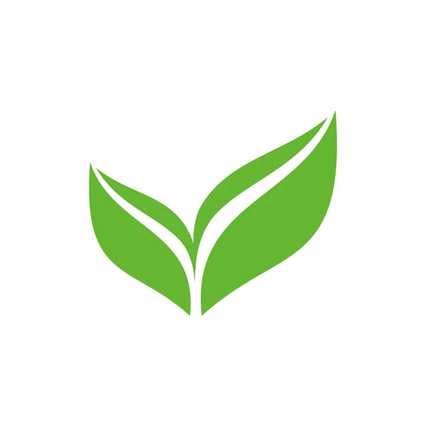 Zielony Symbol Wektora Białym Liście Bio Koncepcja Eko Zielona Ikona — Wektor stockowy