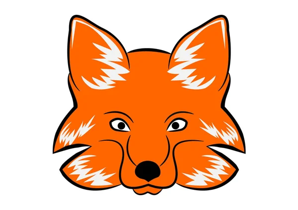 Closeup Drawing Face Fox Isolated White Background — Stock Photo, Image