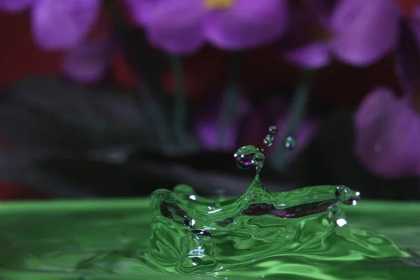 splash resulting from the impact of a drop with a container filled with water, freezing a fraction of a second