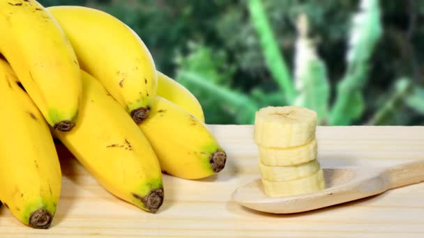 Ramo Plátanos Madera Con Plantación Fondo Plantación Plátanos — Vídeo de stock