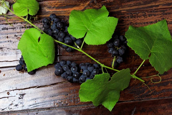 Cachos Uvas Frescas Com Ramos Folhas Mesa Madeira Rústica Close — Fotografia de Stock