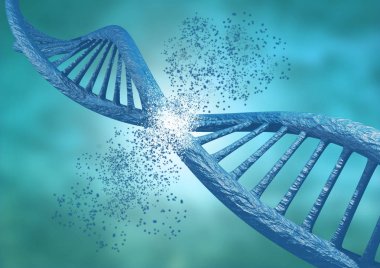 Mühendislik ve Crispr tekniği ile genetik düzenleme. Aşağı kırma Dna Zinciri