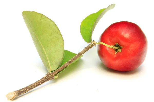 Acérola Bio Frais Aux Feuilles Vertes Isolé Sur Fond Blanc — Photo