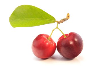 taze organik acerola izole kırpma yolu beyaz zemin üzerine yeşil yaprakları ile. Antioksidan meyveler