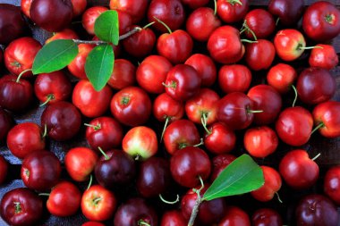 makro, closeup taze organik Acerola grup. sulu ve seçili meyve. Antioksidan meyveler