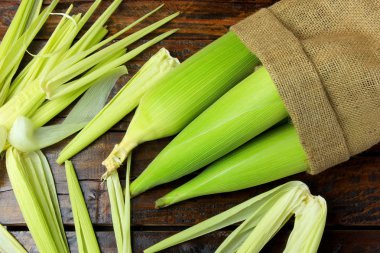 COB, taze, plantasyon rustik ahşap masa torba içinde--dan hasat Mısır. metin için yer. üstten görünüm