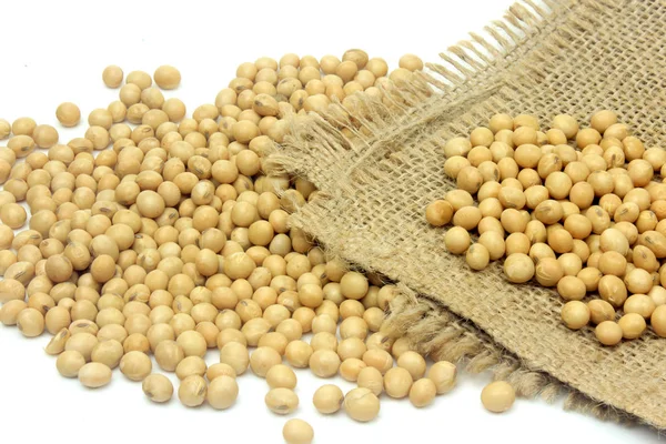 生の大豆の豆 新鮮な有機食品 白い背景で隔離 クローズ アップの角度 — ストック写真